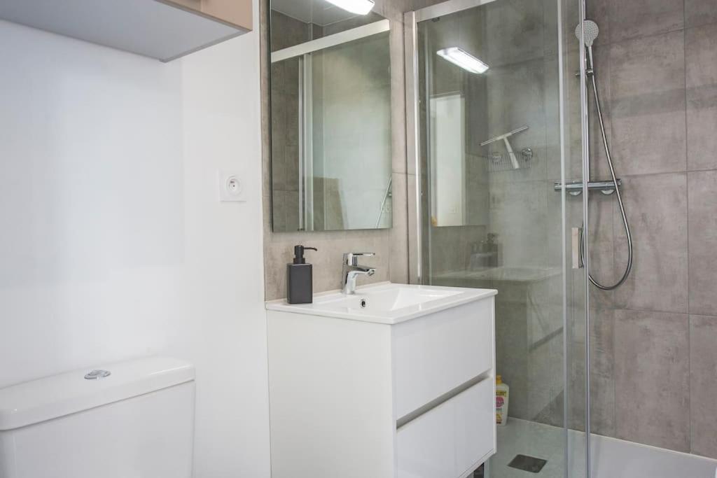 Bel Appartement Lumineux Proche Du Centre-Ville Douai Eksteriør billede