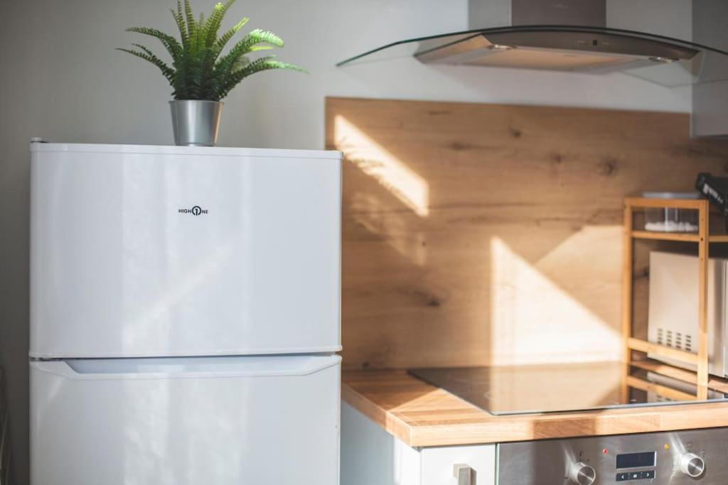 Bel Appartement Lumineux Proche Du Centre-Ville Douai Eksteriør billede